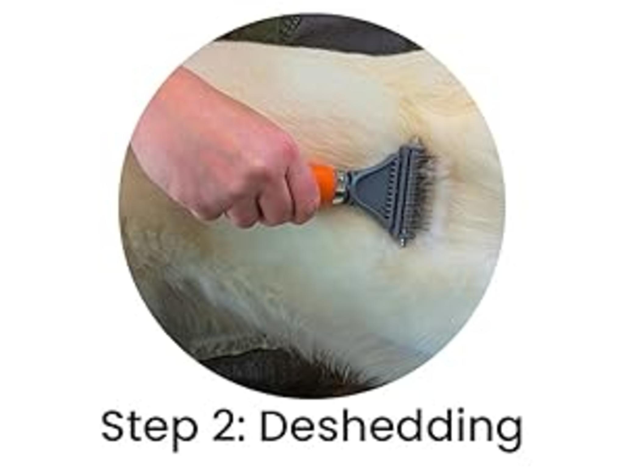 Professional 2-in-1 Pet Dematting Comb and Undercoat Rake image 12