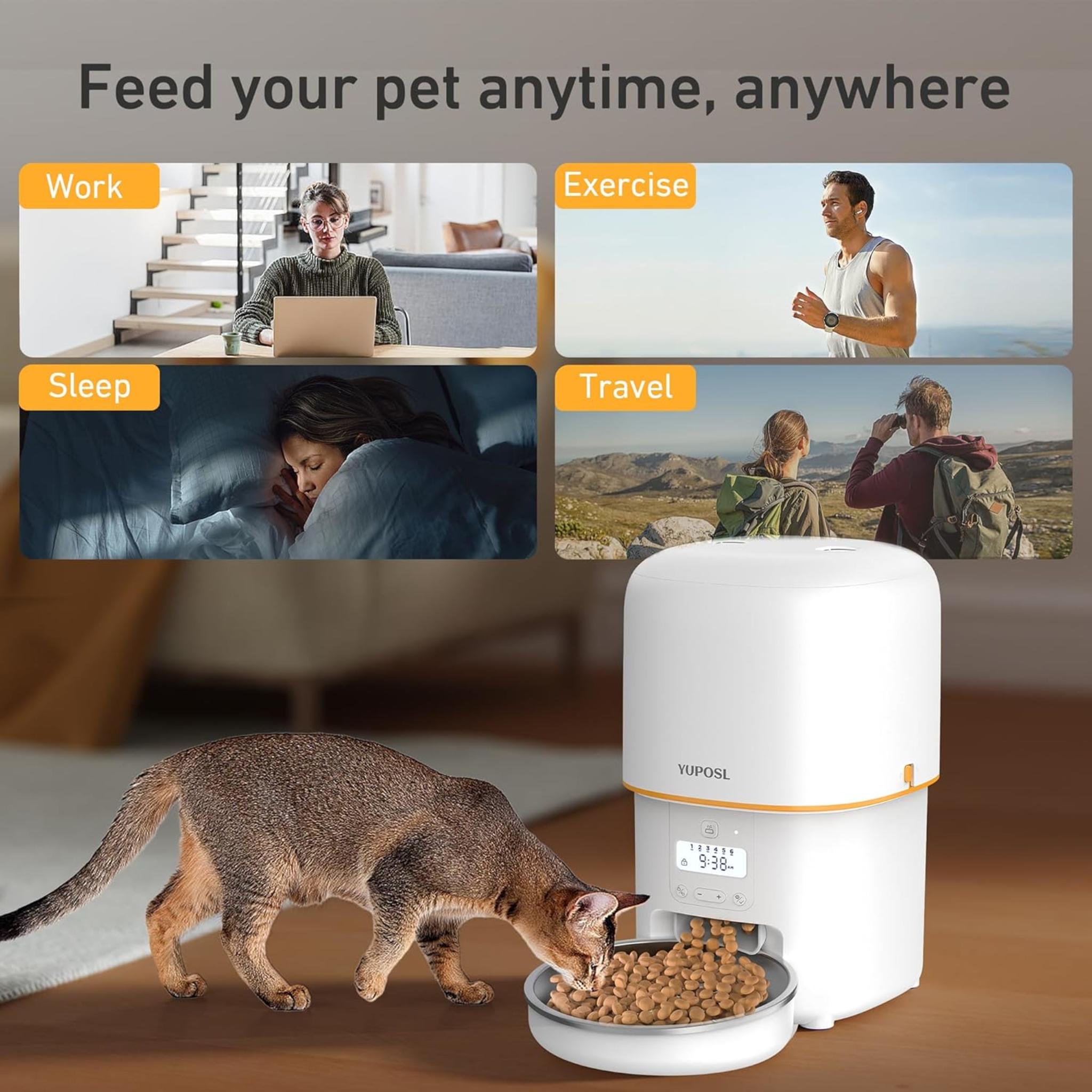 3L Automatic Cat Feeder with Anti-Jam Design and Stainless Steel Bowl
