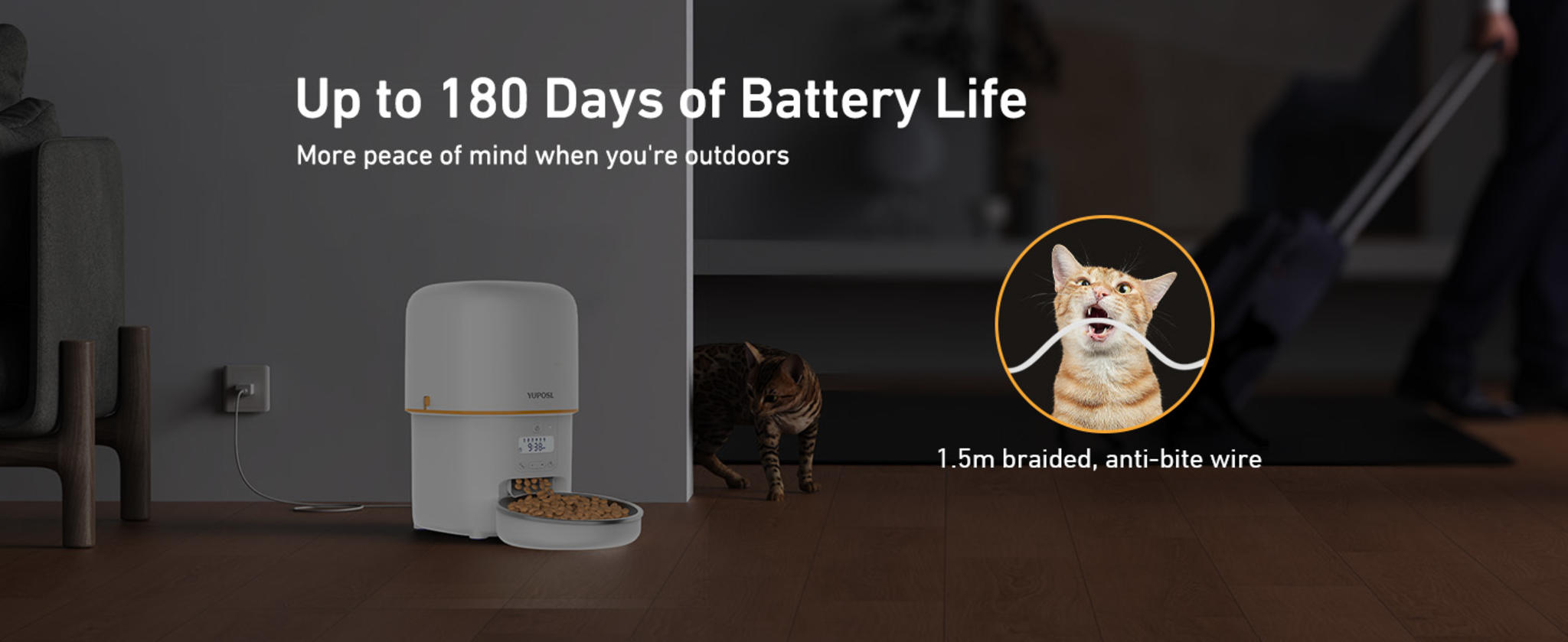 3L Automatic Cat Feeder with Anti-Jam Design and Stainless Steel Bowl image 15