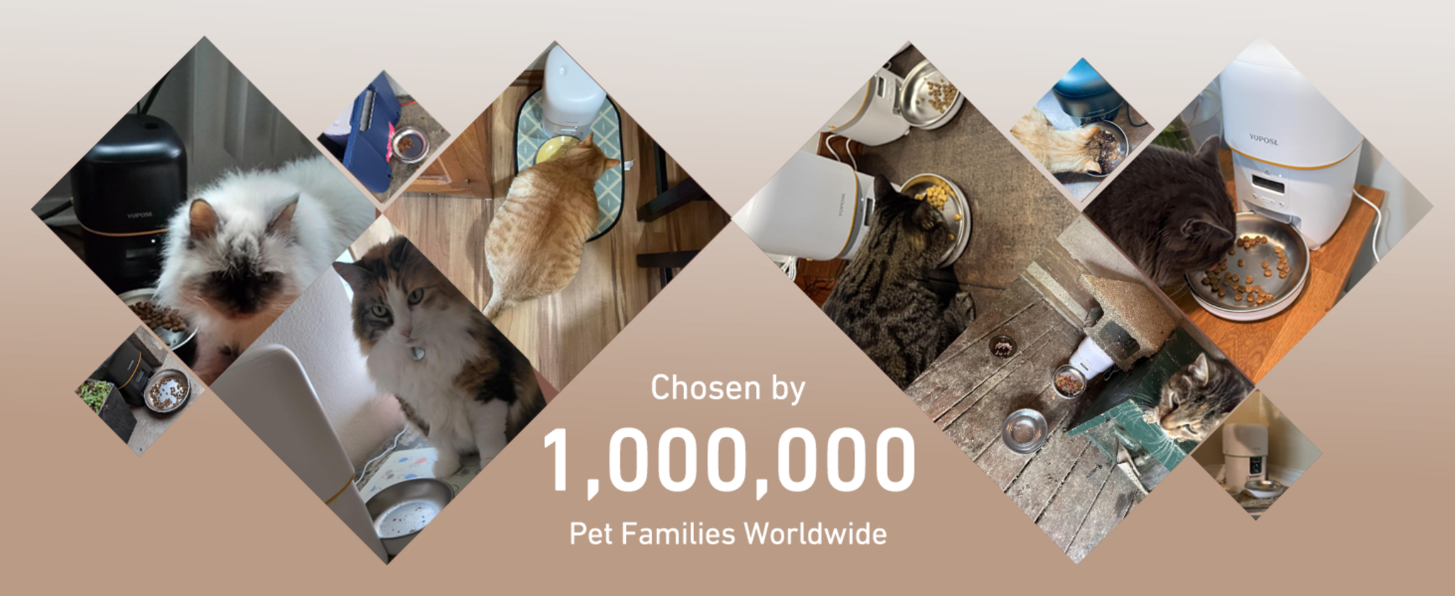 3L Automatic Cat Feeder with Anti-Jam Design and Stainless Steel Bowl image 22