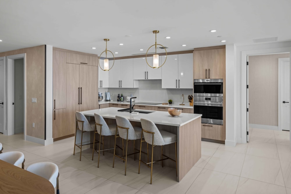 Platinum Build kitchen remodel — detail