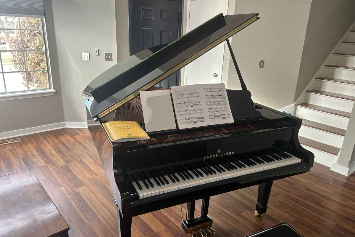 Grant Gaidies's piano studio background