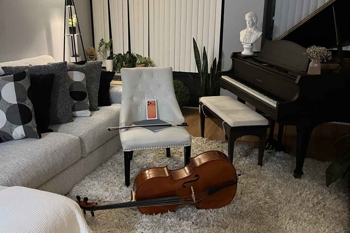 Andrei Liquer's piano studio background