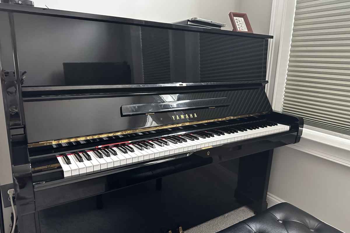 Qianyu Chen's piano studio background