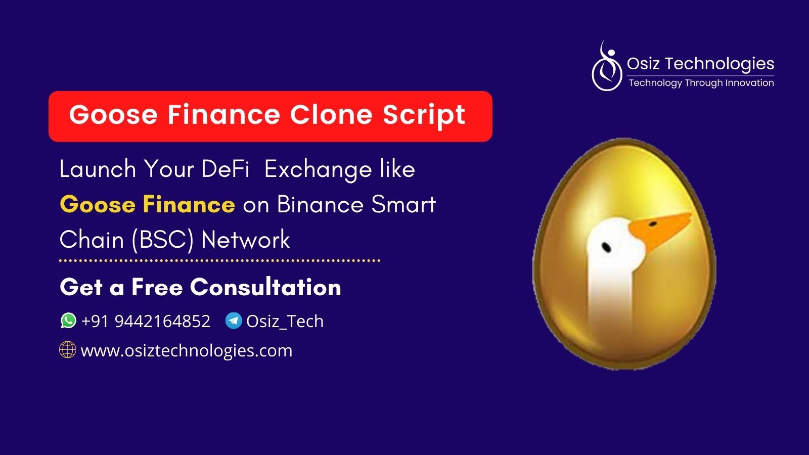 Goose Finance Clone Script