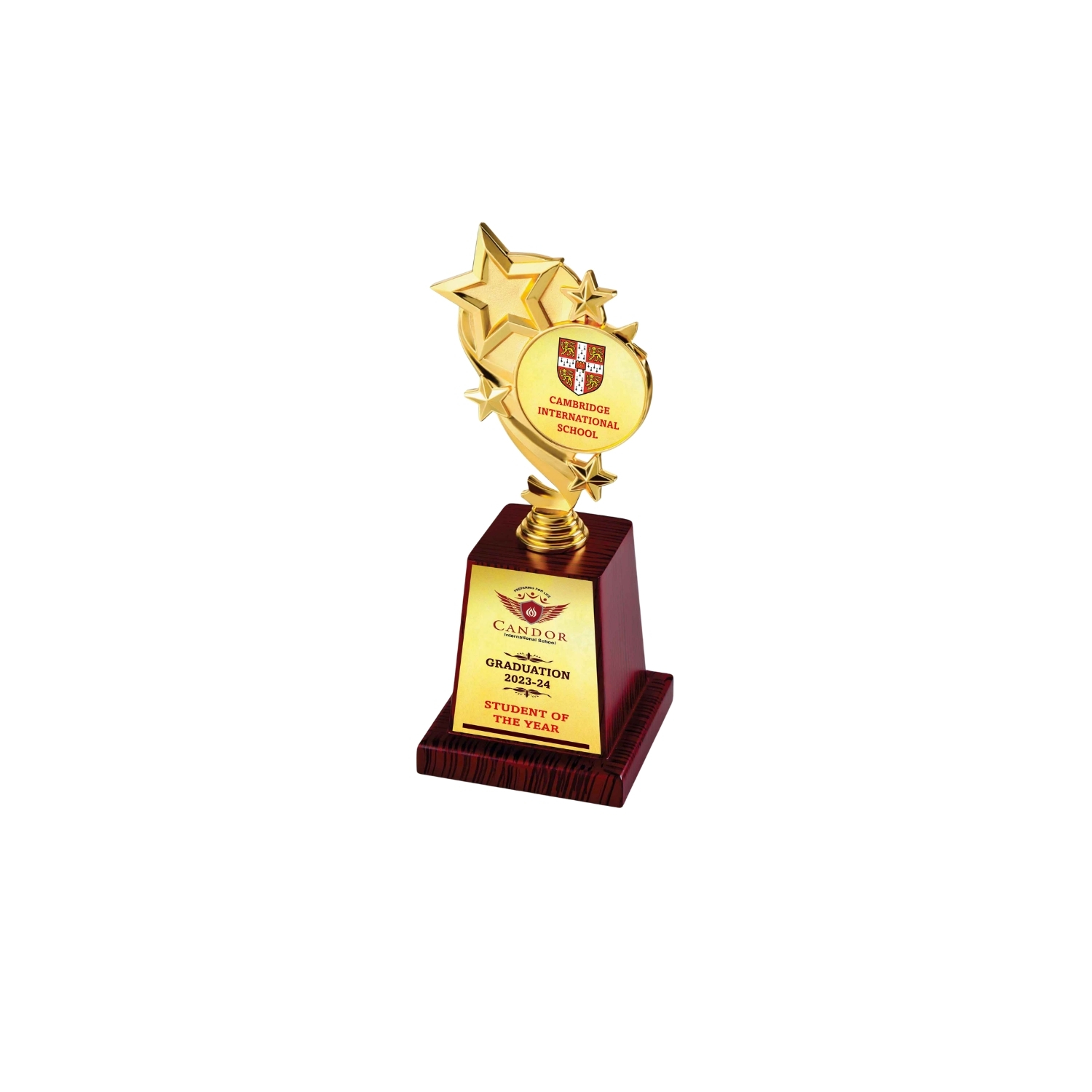 Premium Metal Star Trophy TRO - 2221