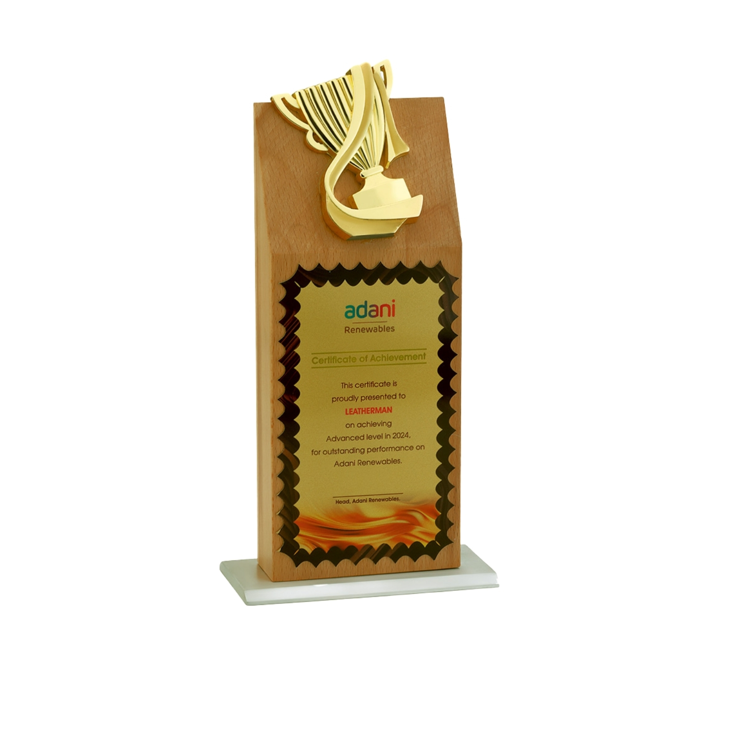 Eco Trophy With Flowing Cup TRO - 2363