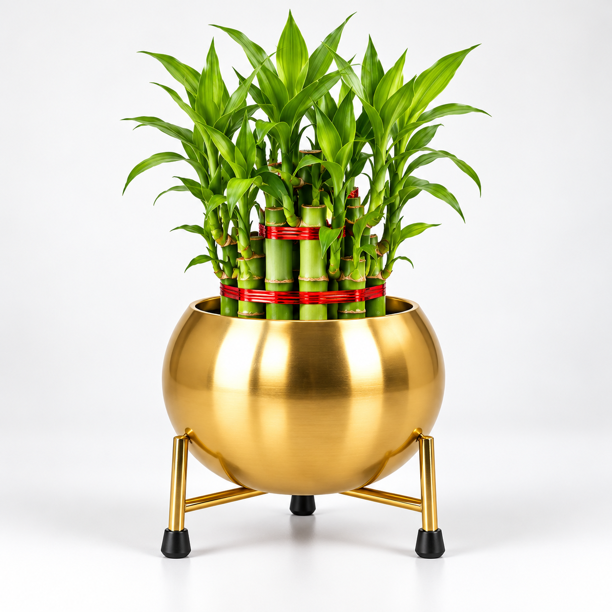 Metal Pot With Stand With 3 Layer Lucky Bamboo