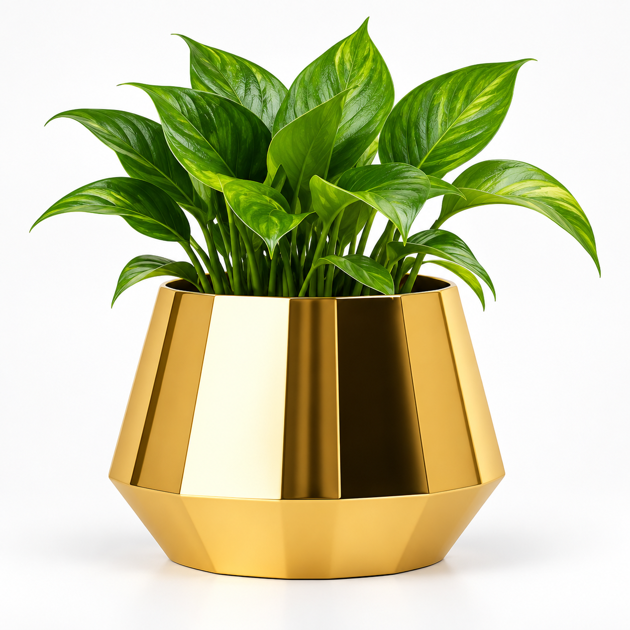 Metal Pot With Stand With Money Plant
