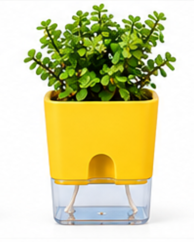 Self Watering Pot With Jade Plant-Yellow