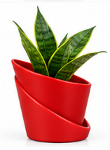 Self Watering Pot With Green Snake Plant-Red