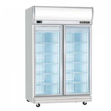 Painted Upright Double Glass Door Chiller(2DDCS(2D/DC-S-H-J))