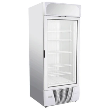 Vertical Freezer(VF500)