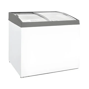 Frozen Food & Ice Cream Freezer(D300DFSG-AC/P)
