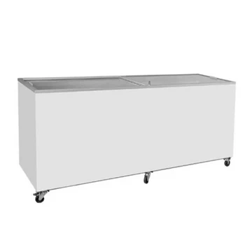 Frozen Food & Ice Cream Freezer(D600DFSG-FF)