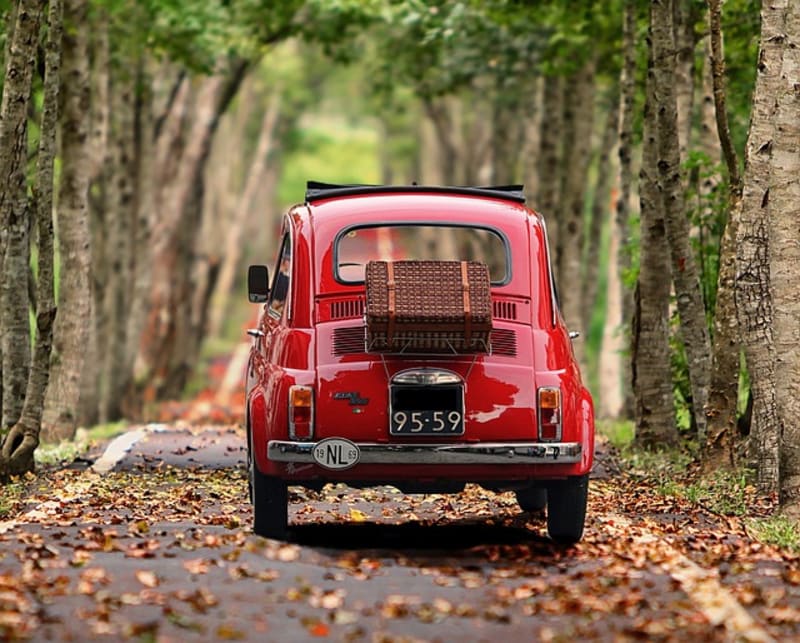 🚗 Backroads & Biodegradables | Plastic-Free Travel Kits for Conscious Explorers