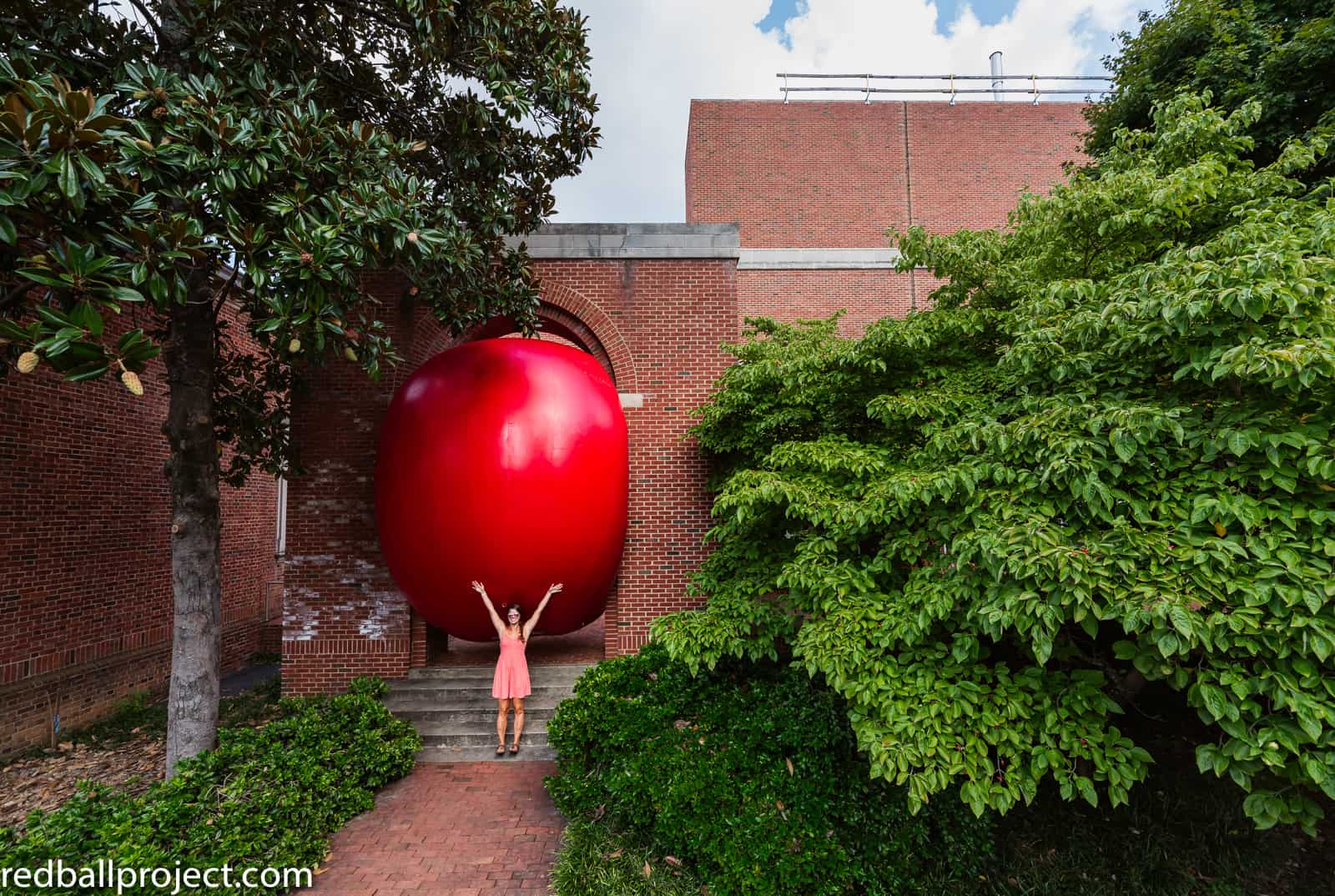 Redball Chapel Hill