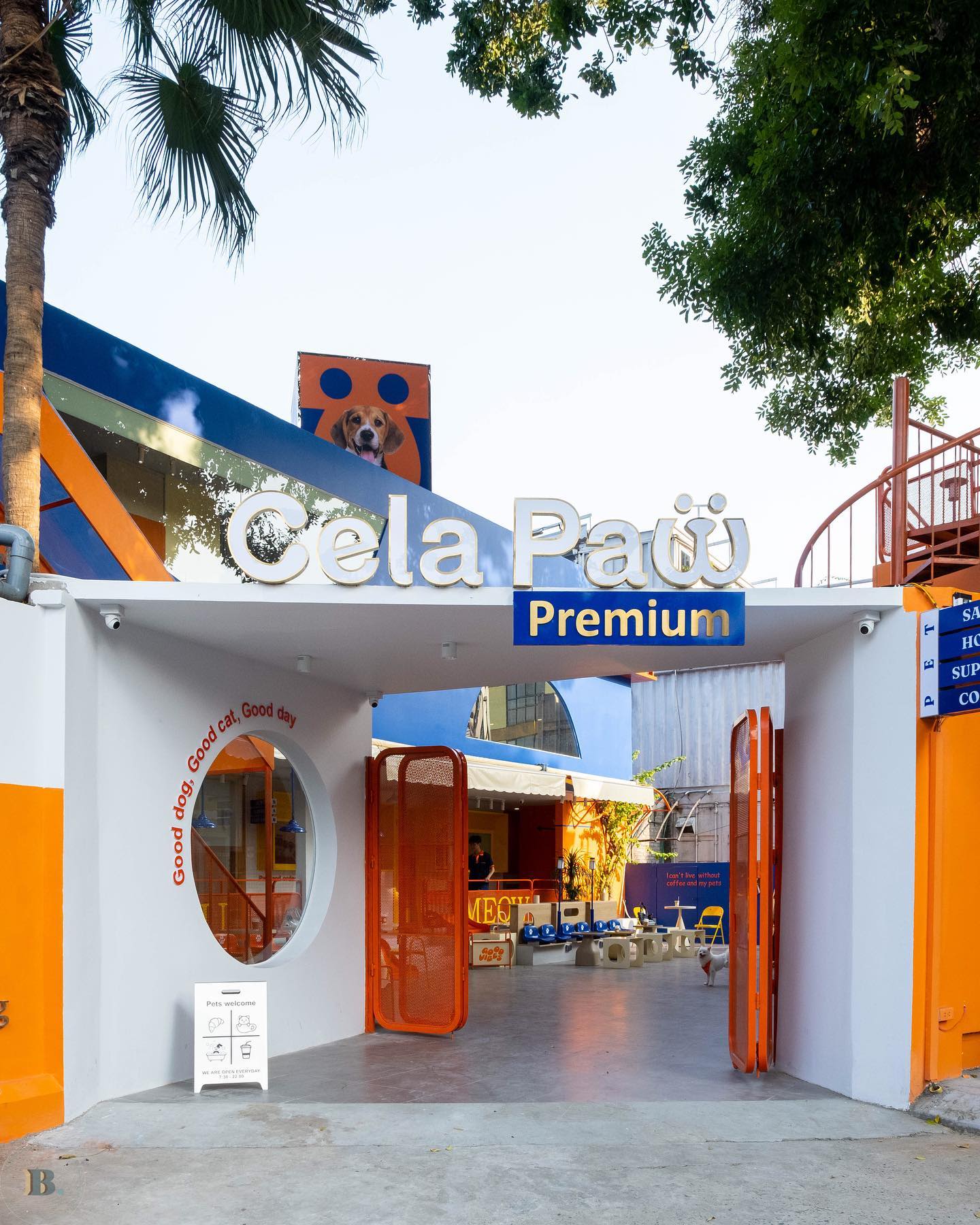 Cela Paw Premium