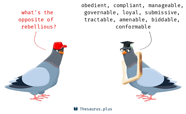 Descriptive alt text