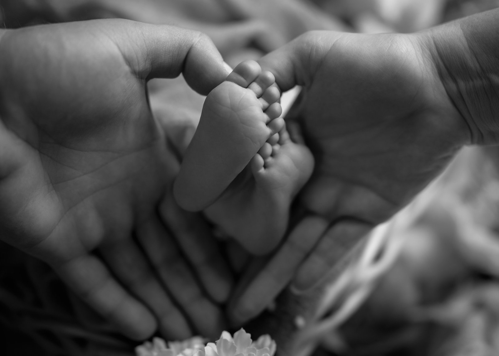 Sesja noworodkowa fotograf - Little Stars Studio