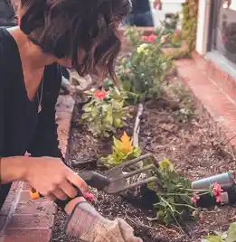 person gardening