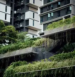 urban environment in green