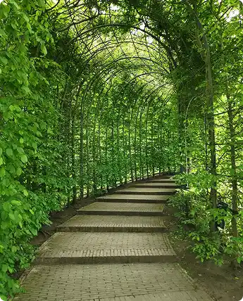 path