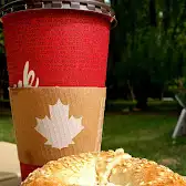 Tim Hortons storefront and interior at 498 Ontario St, St Catharines, ON