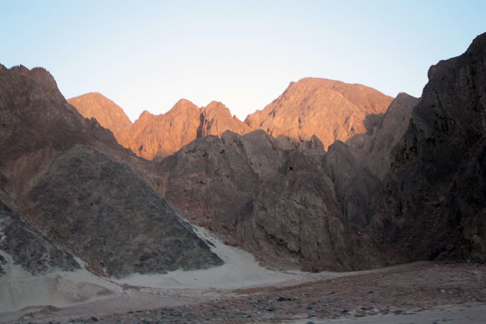 Private Buggy 3h — Morning Desert Ride, Bedouin Village & Camel
