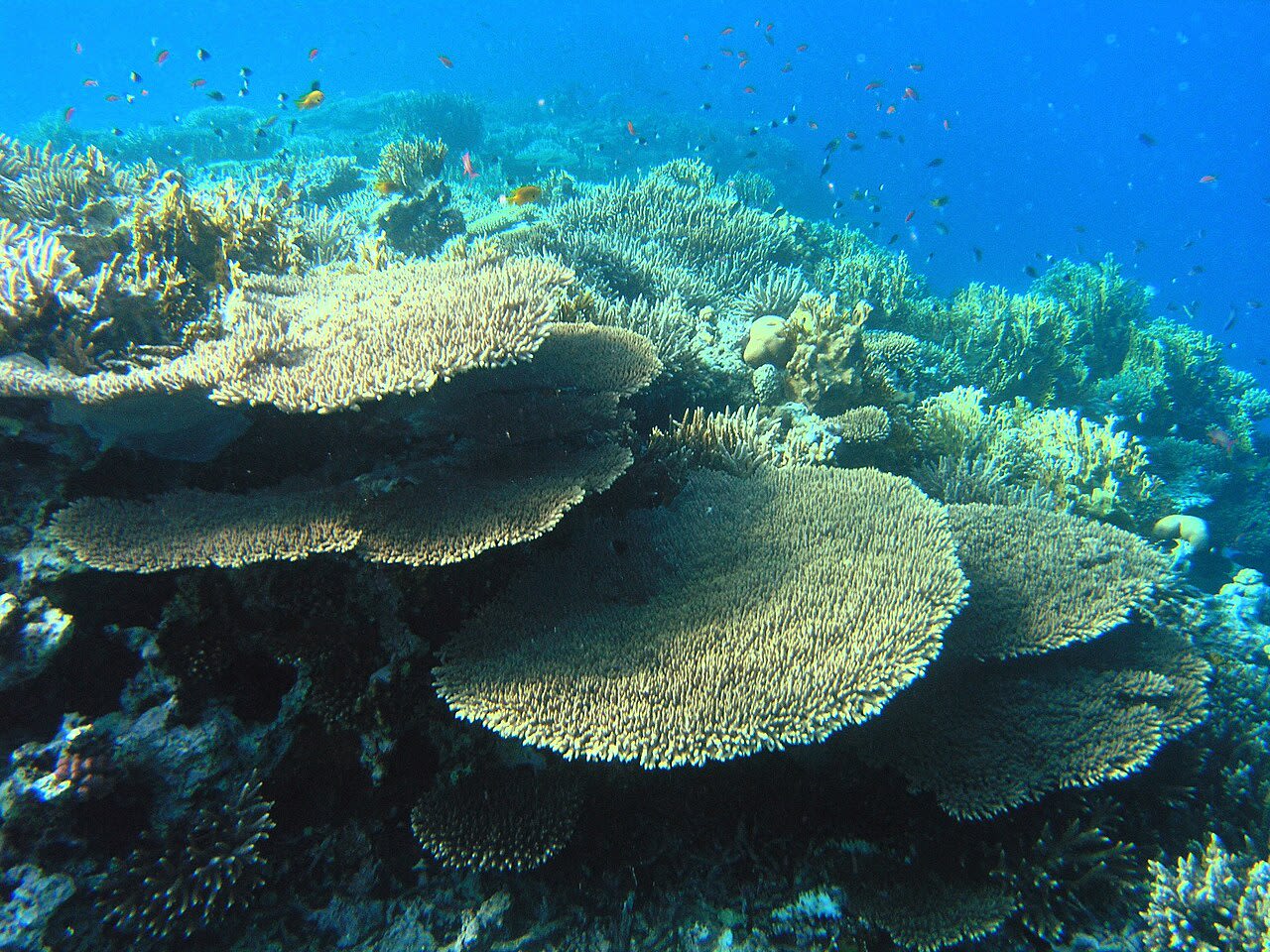 Hurghada Kombitour – Meer & Stadt an einem Tag
