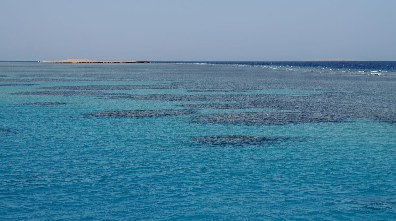 Paradise Island – privates Schnellboot & Schnorcheln