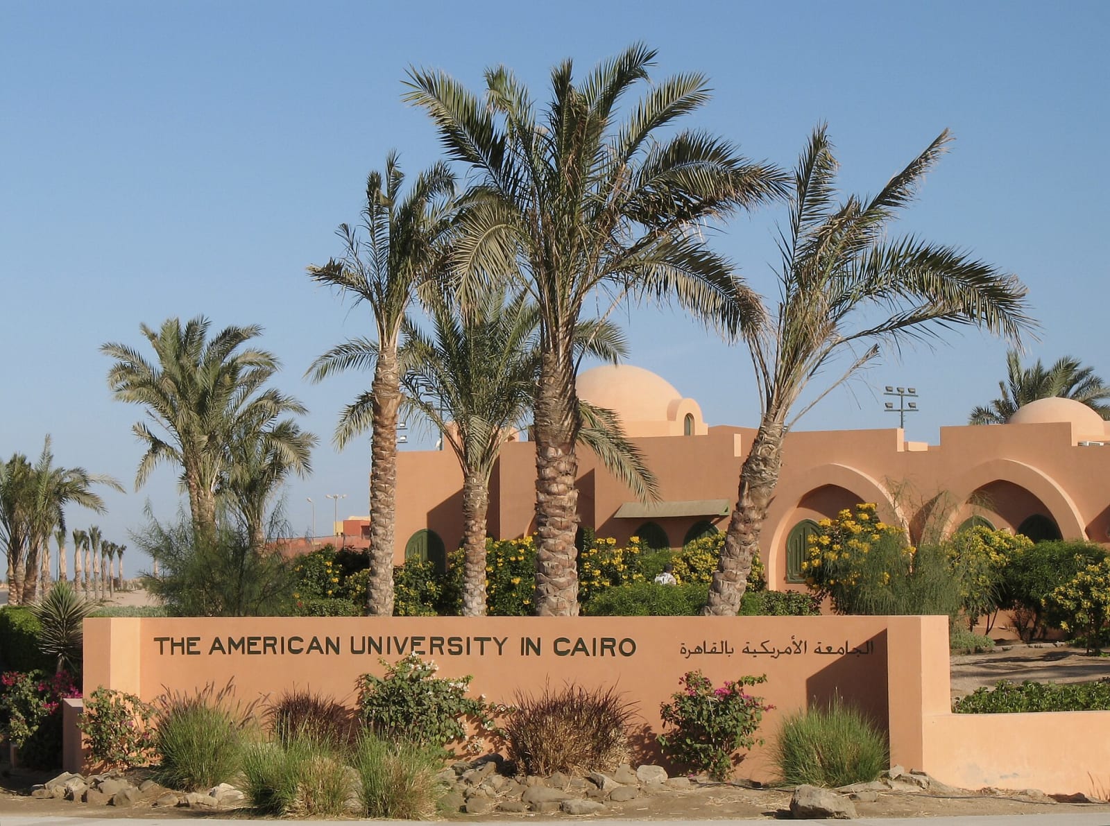 داون تاون الجونة في المساء