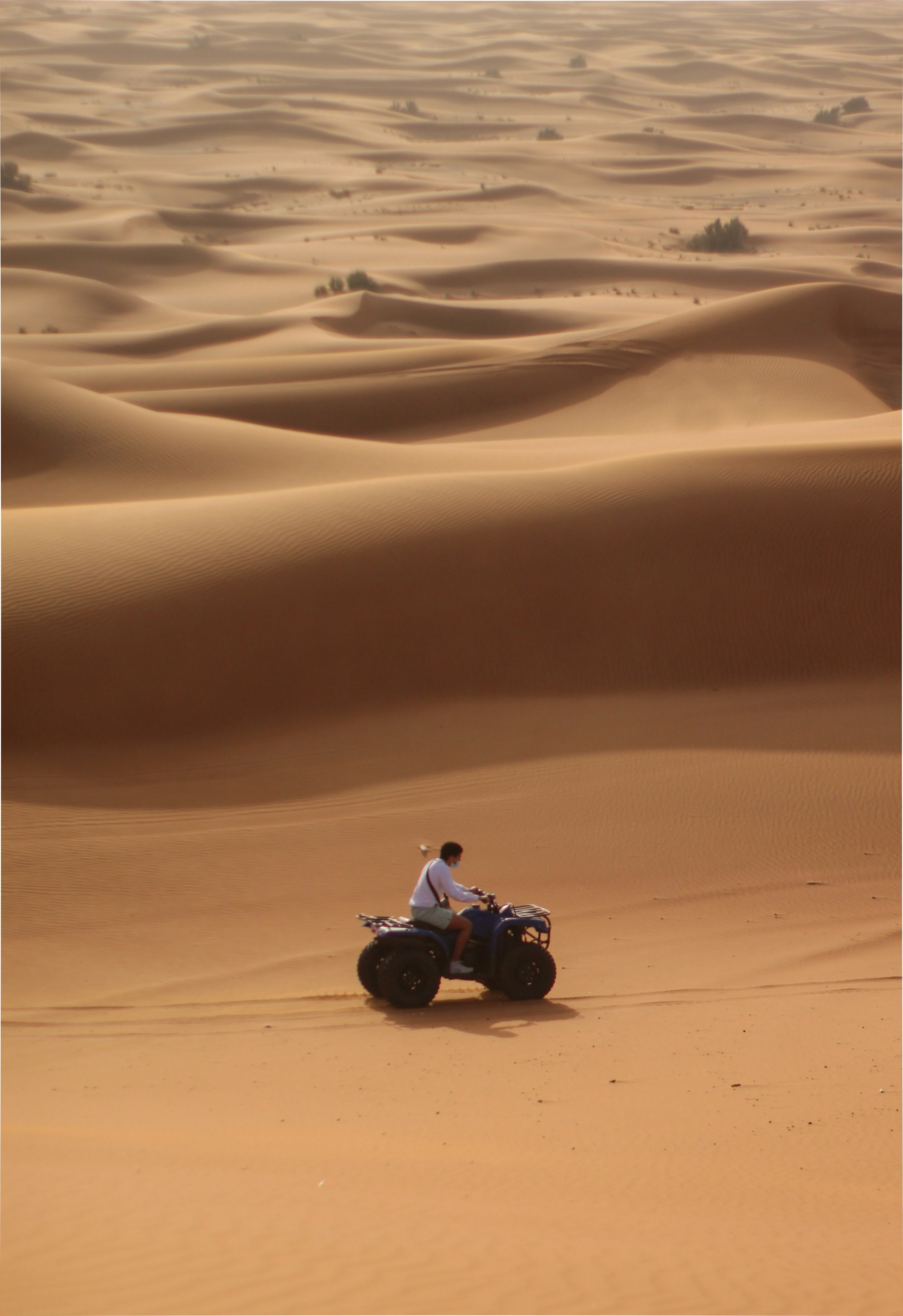 Super-Safari – Quad, Spider Car, 4×4, Kamelritt & Beduinen-Dinner