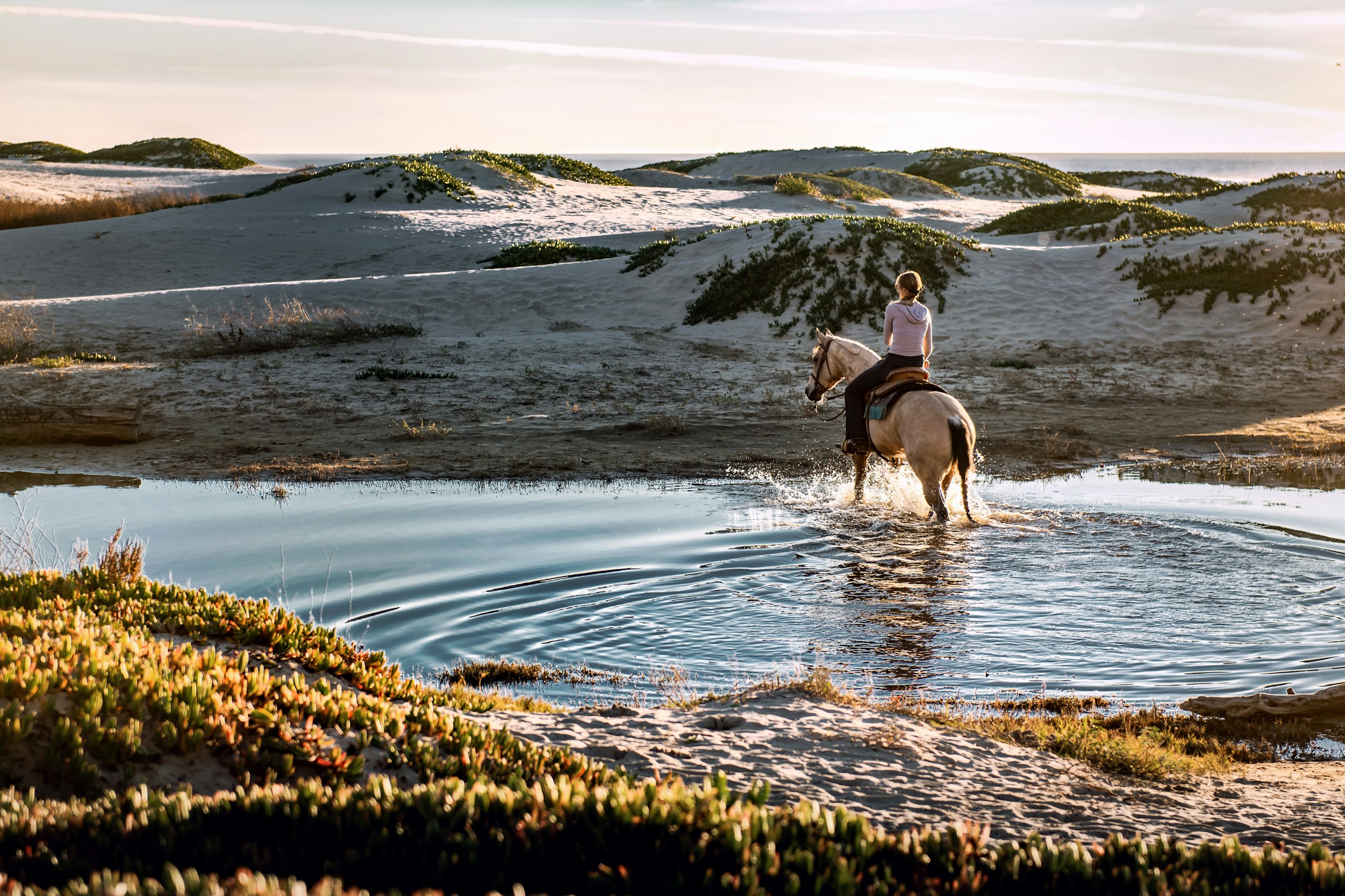 Privater Reitausflug – Wüstendünen & Strand am Roten Meer