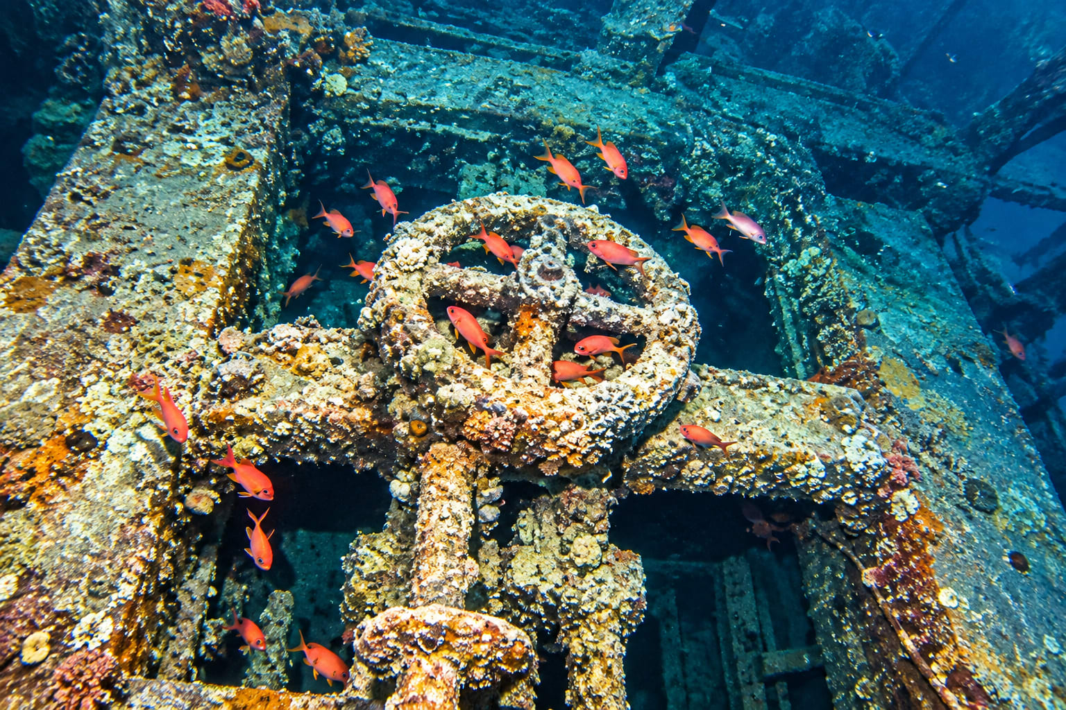 SS Thistlegorm — Full-Day Wreck Diving Expedition