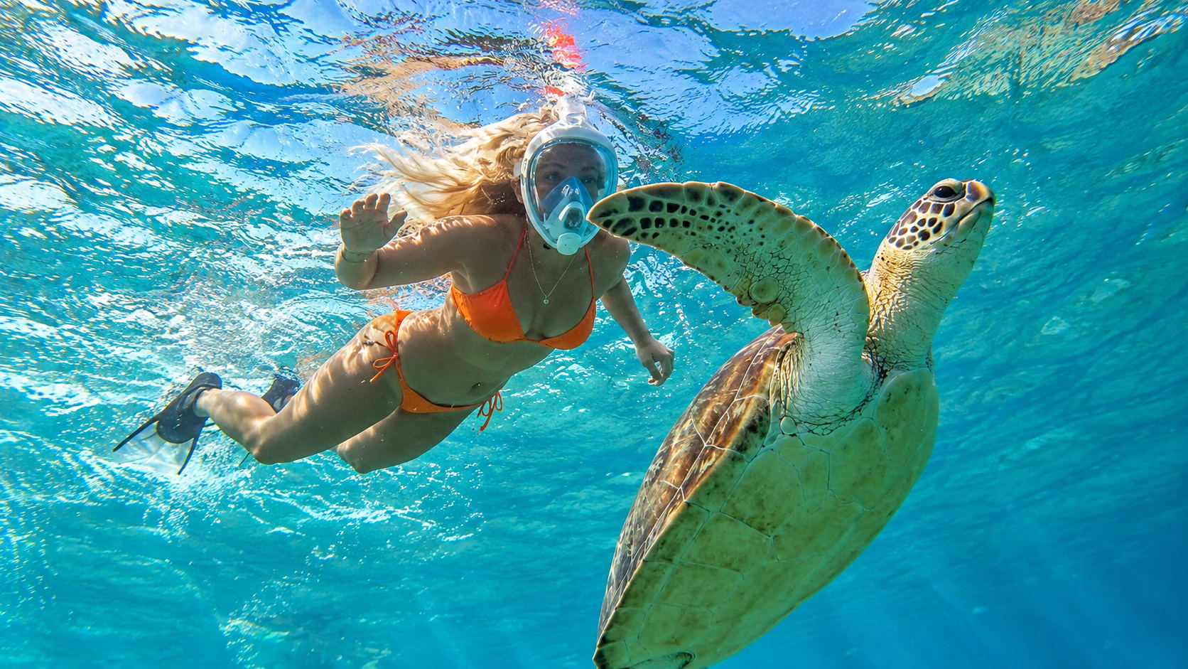 Abu Dabbab — Snorkel with Turtles & the Dugong