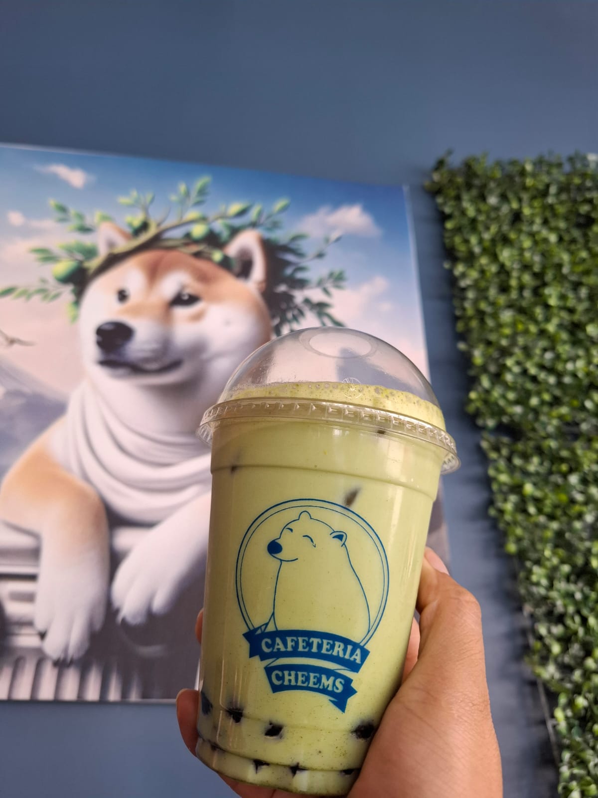 Cafetería Cheems - 9