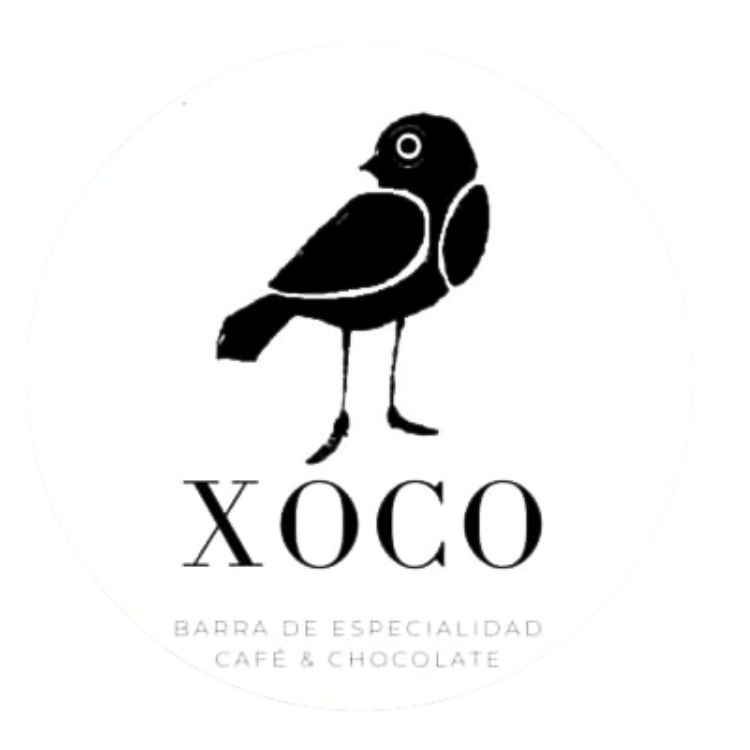 Logo de Xoco