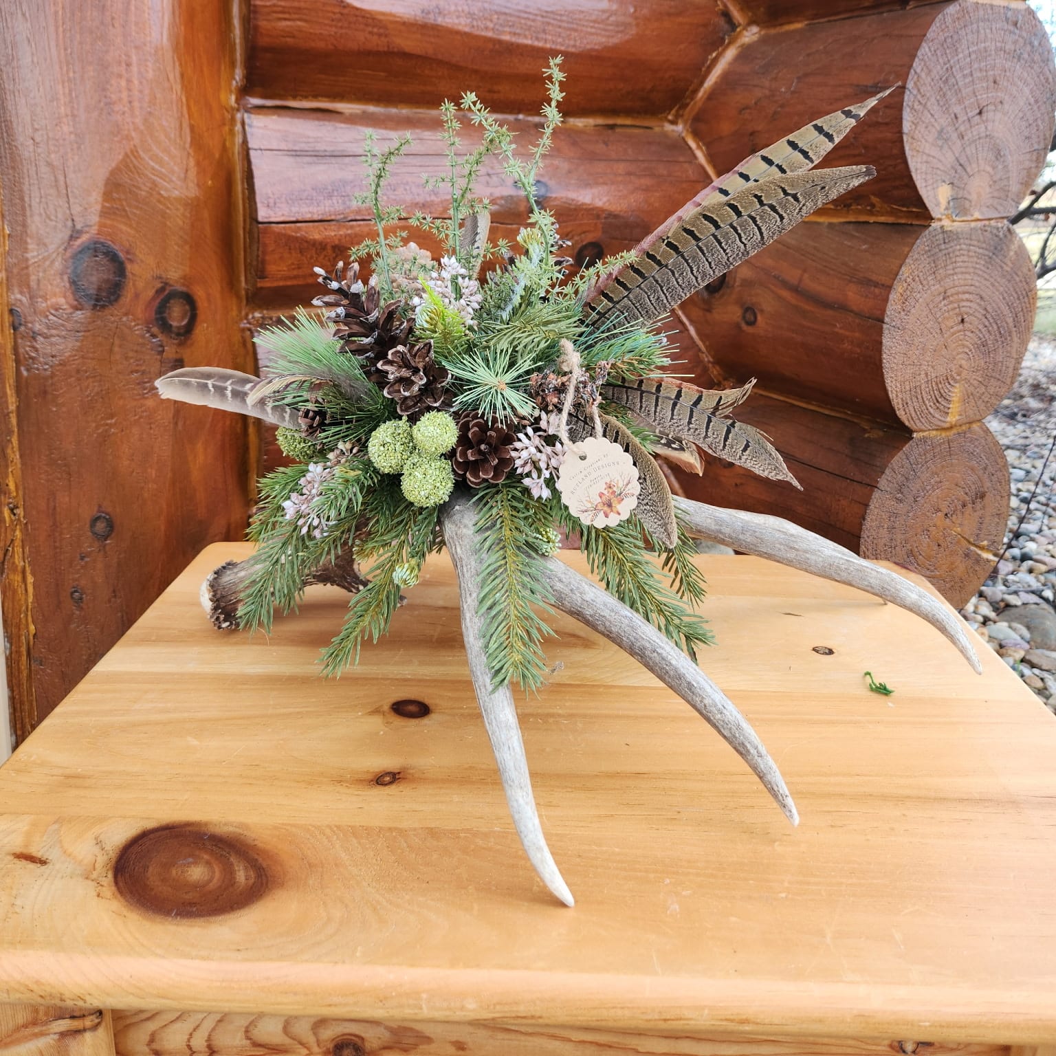 White antler with forest plants and pinecones