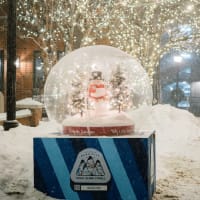 Snow Globe Stroll