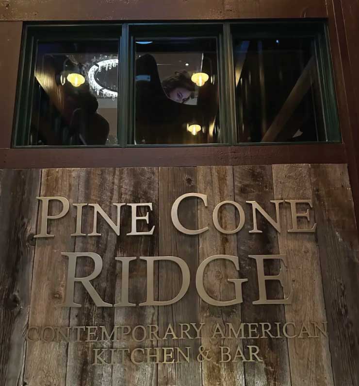 Pine Cone Ridge Image