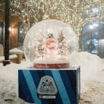 Snow Globe Stroll