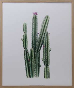 Bilde Desert Blooms II 50x60