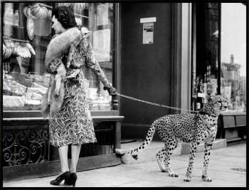 Canvas sort svevelist Woman with Cheetah / 85x113