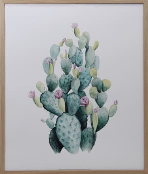 Bilde Desert Blooms I 50x60