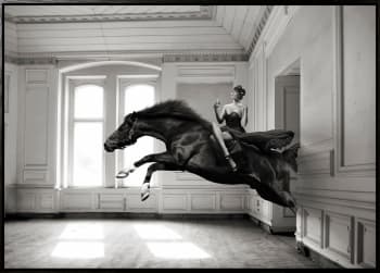 Canvas sort svevelist Aperitif / 85x113