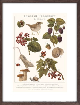 Bilde English Hedgerow 30x40