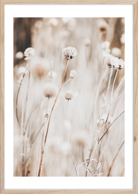 Framepic Beige I 50x70 UTGÅTT