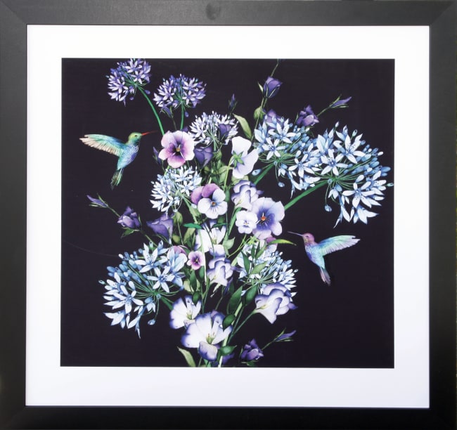 Bilde Hummingbirds 60x60