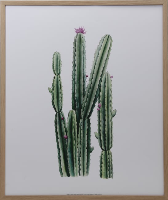 Bilde Desert Blooms II 50x60